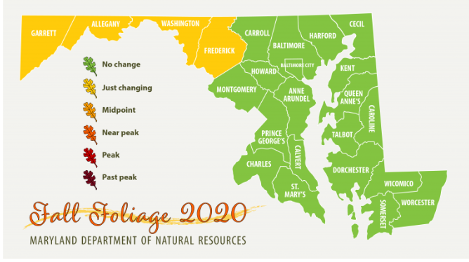 Maryland Fall Foliage Report for the first full week of autumn